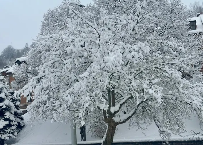 Vendégház Robin 3*